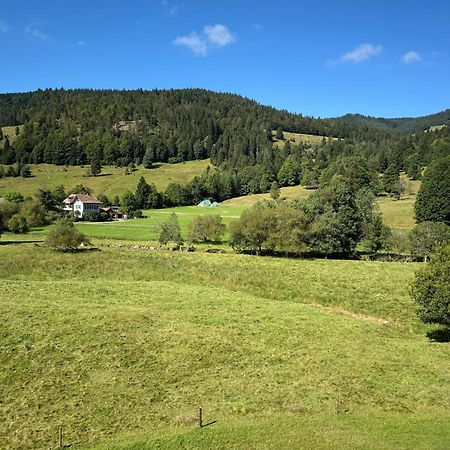 Apartment Schwinbachblick Mit 2 Balkonen St. Blasien Exterior photo