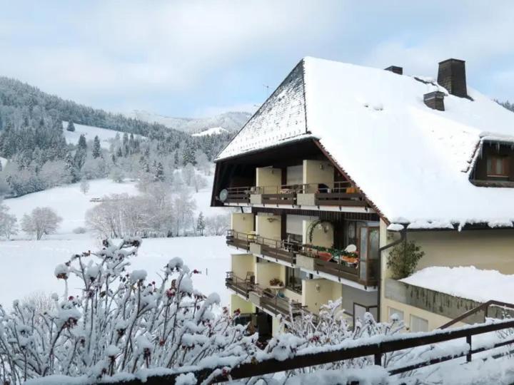 Apartment Schwinbachblick Mit 2 Balkonen St. Blasien Exterior photo