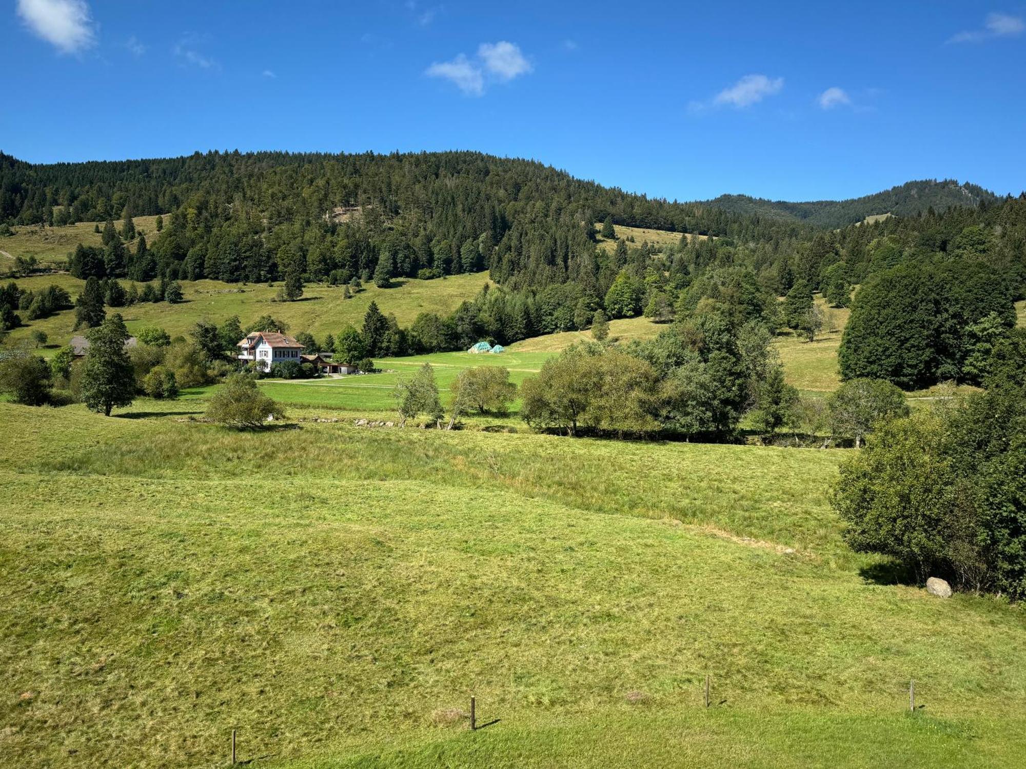 Apartment Schwinbachblick Mit 2 Balkonen St. Blasien Exterior photo